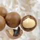 Hawaiian Macadamia Nut